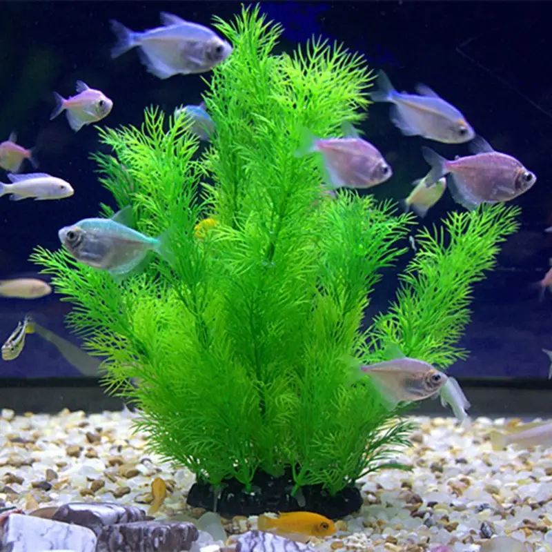 Aquarium Plants Live - نباتات ديكور حوض السمك الاصطناعية تحت