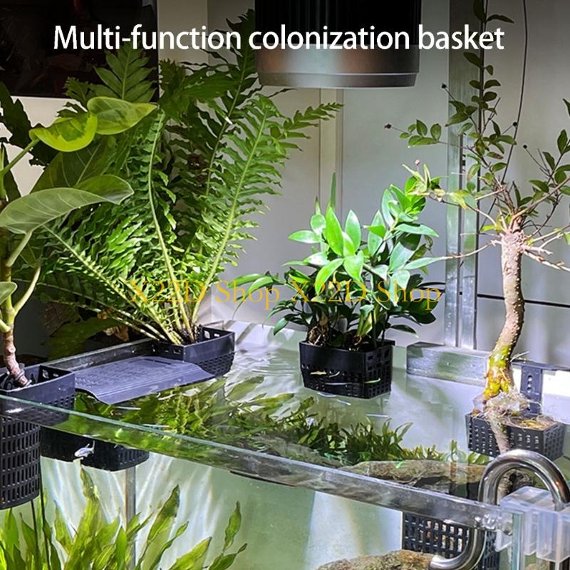 Plant Aquarium Pot - X22D الأنماط القديمة الحديثة حامل النبات