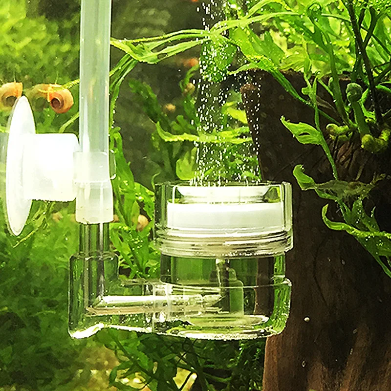 Live Plant Aquarium - حوض السمك 4 في 1 CO2