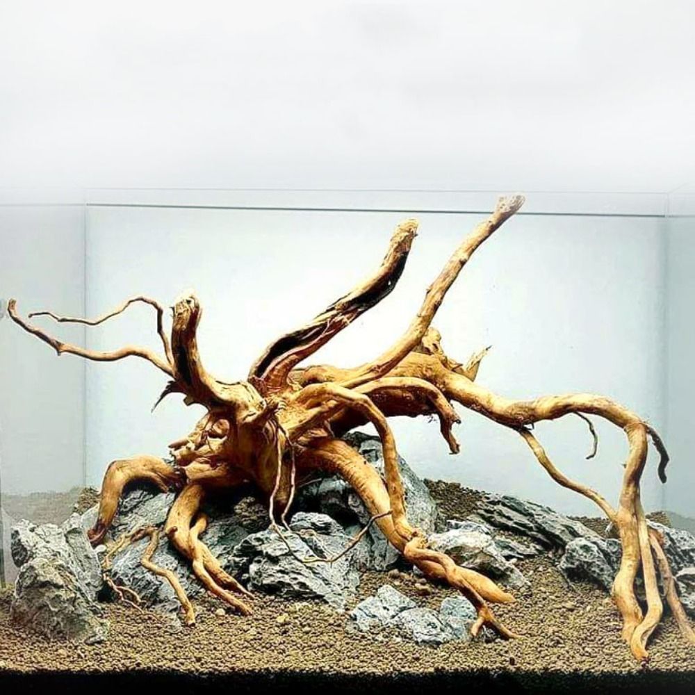 Aquarium Driftwood - خشب عائم طبيعي كبير لحوض السمك