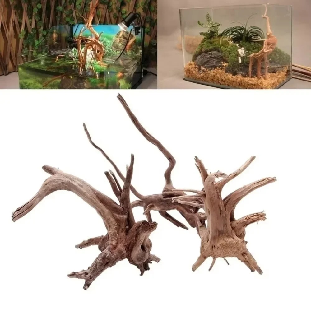 Aquarium Moss - ديكور حوض السمك من الخشب الطبيعي