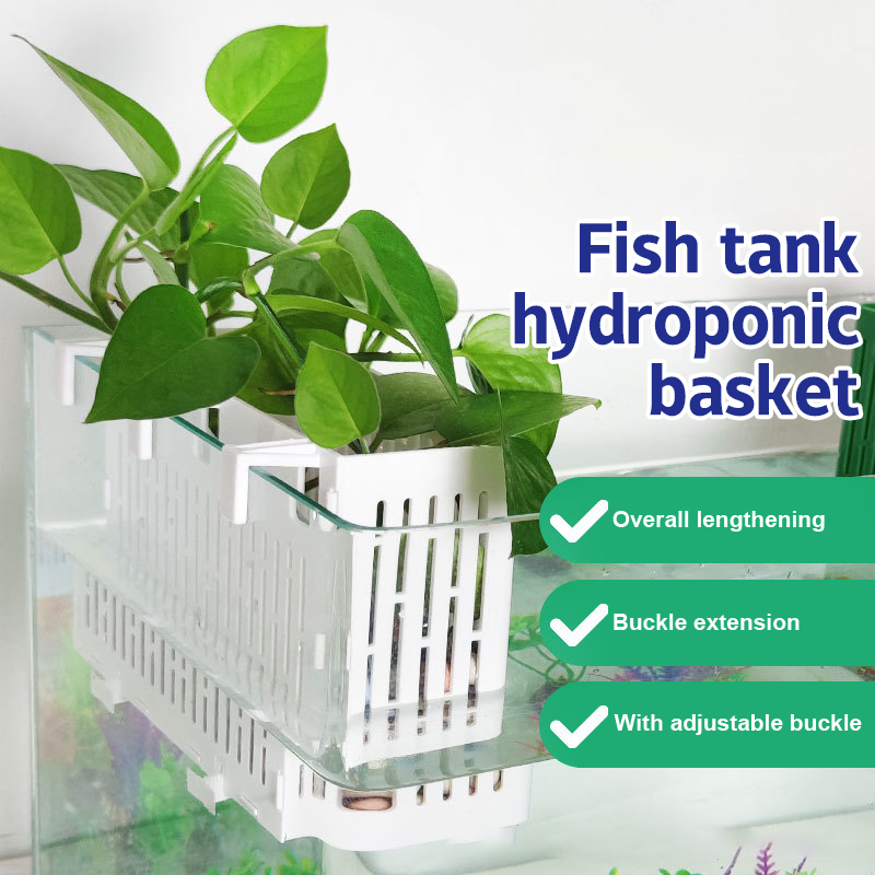 Aquarium Plant Holder - حامل نباتات مائية معلق لحوض السمك،