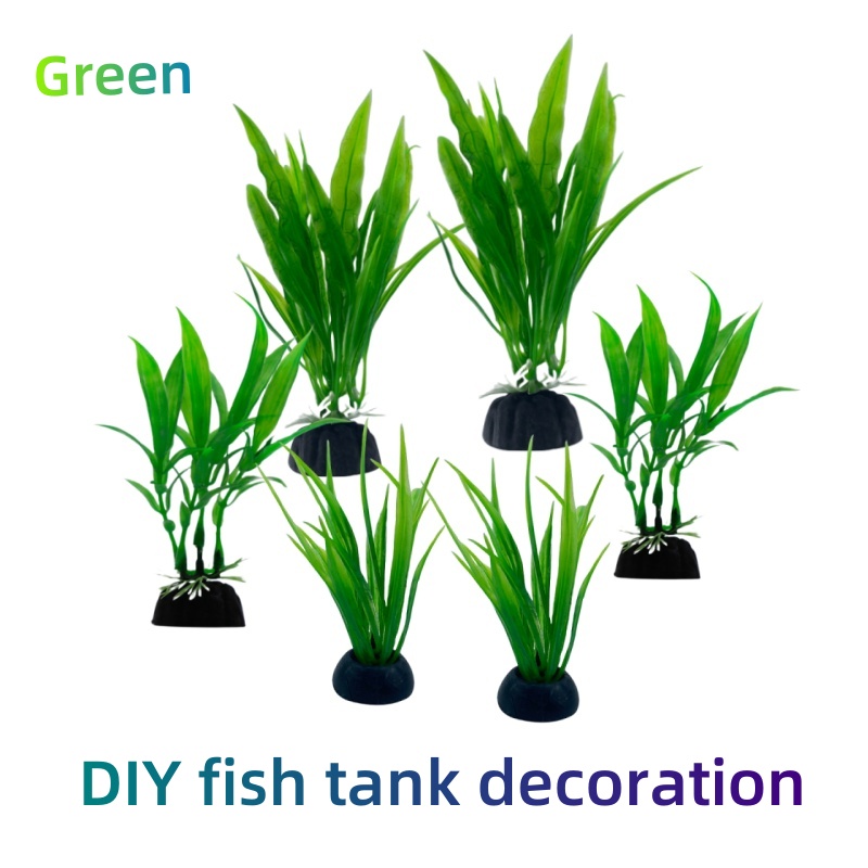 Aquarium Plants Live - 6 قطع من نباتات حوض السمك،