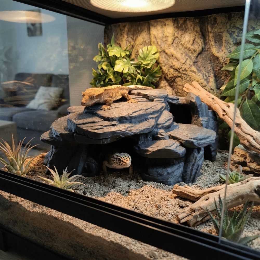 زينة صخرية ثلاثية الأبعاد لأحو - مراجعة Aquarium Driftwood وسعره