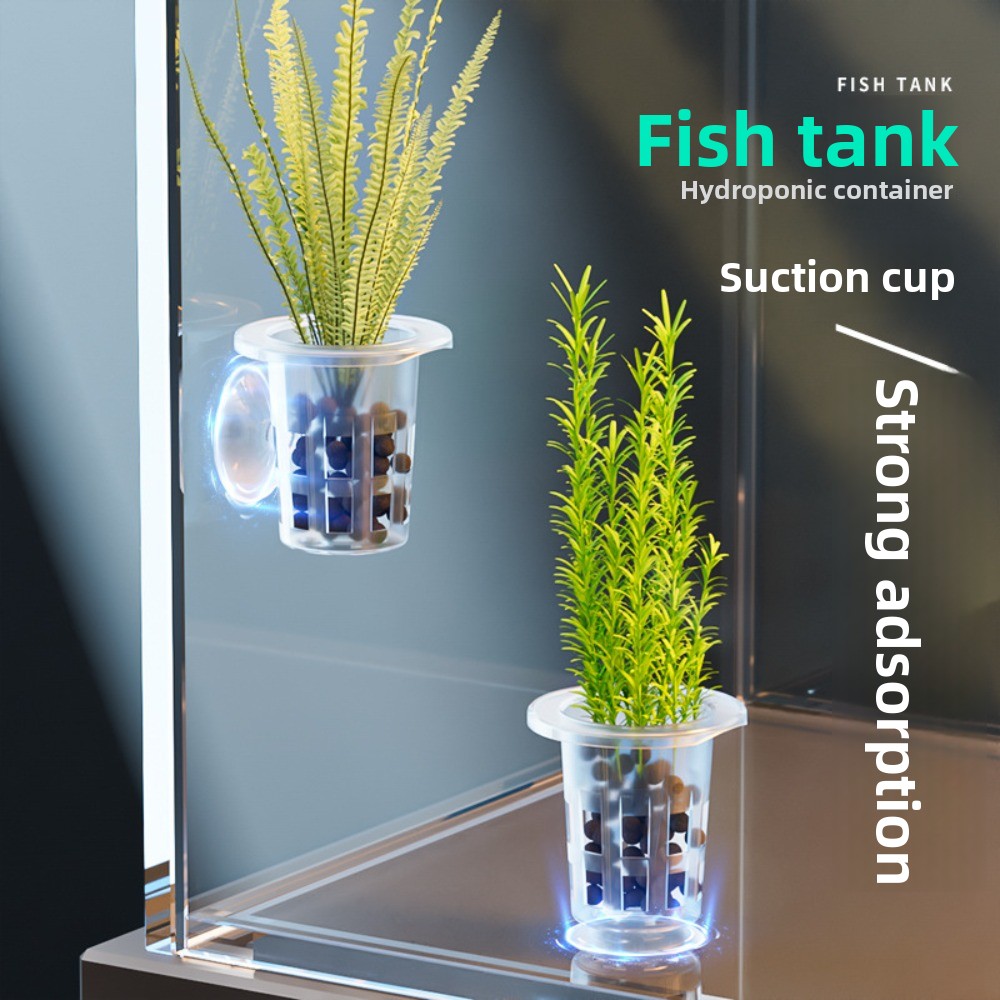 10 قطع من أواني الزراعة المائي - مراجعة Aquarium Plants Live وسعره