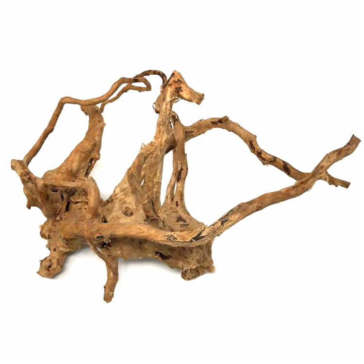 خشب طبيعي مصقول لتزيين أحواض ا - مراجعة Aquarium Driftwood وسعره