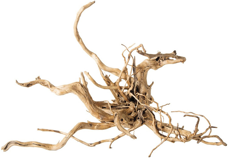 خشب طبيعي مصقول لتزيين أحواض ا - مراجعة Aquarium Driftwood وسعره