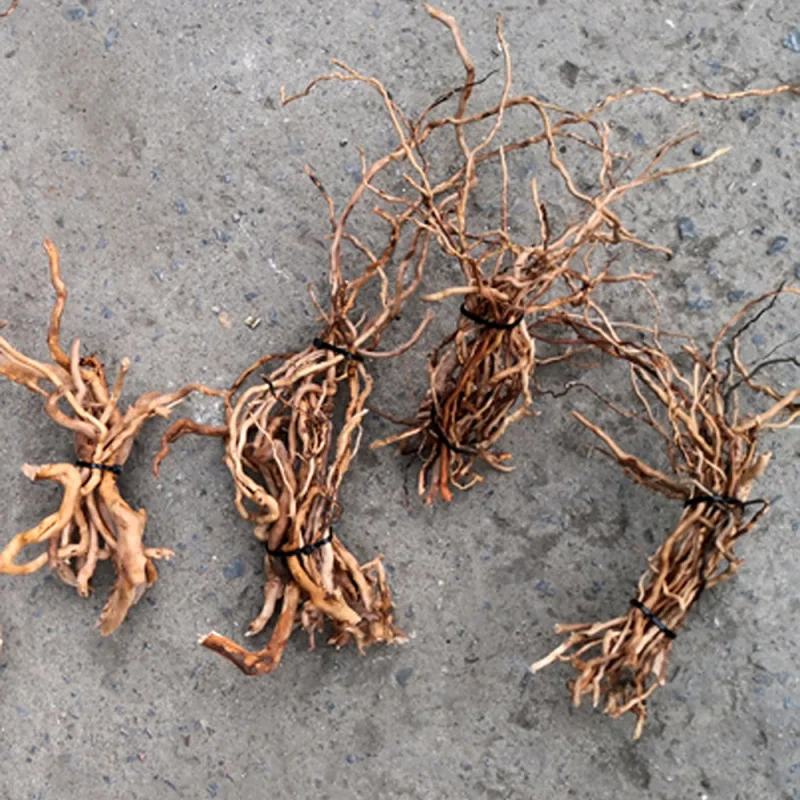 جذع شجرة طبيعي من الخشب العائم - مراجعة Aquarium Driftwood وسعره