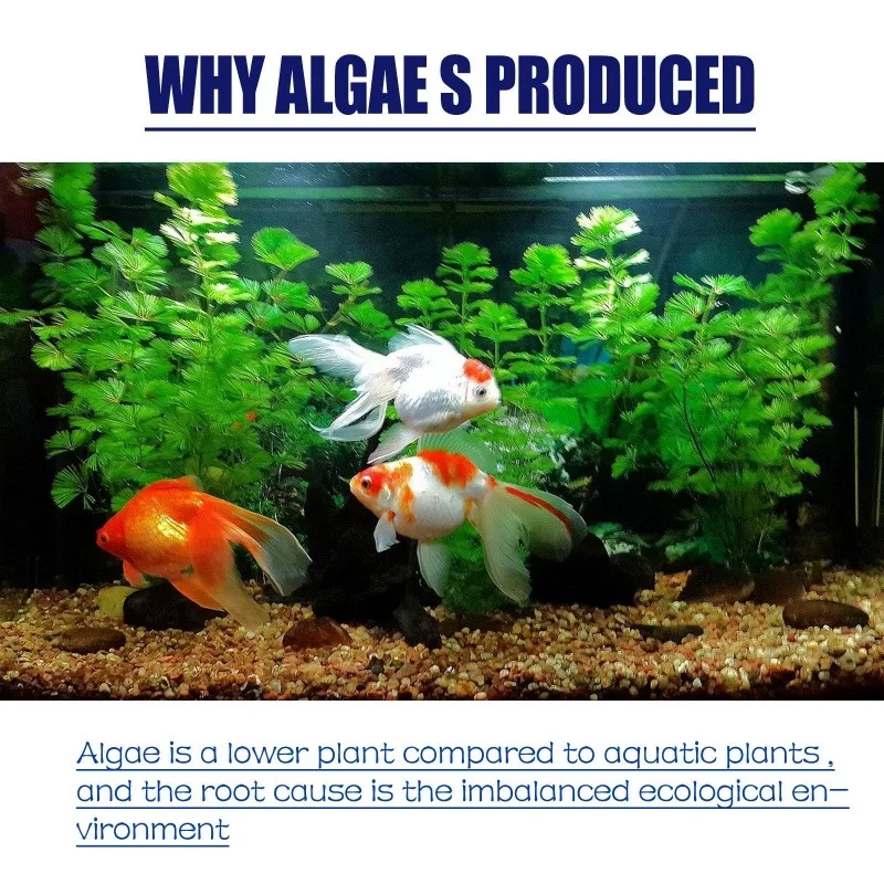 50 جرام من مبيد الطحالب عالي ا - مراجعة Planted Aquarium Algae Control وسعره