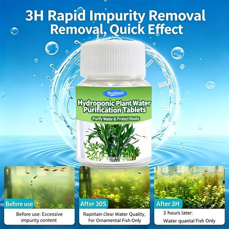 أقراص تنقية المياه للزراعة الم - مراجعة Plant Aquarium Pot وسعره