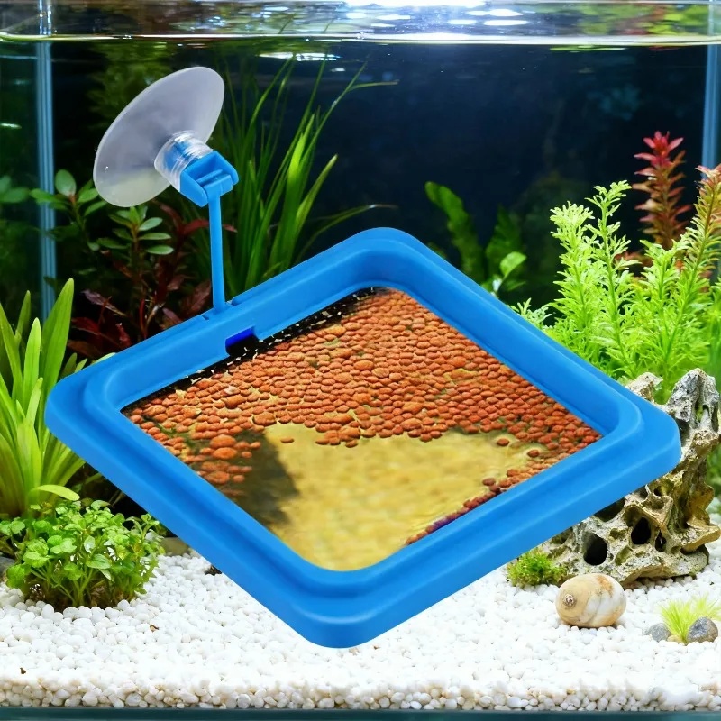 حلقة تغذية حوض السمك، صينية طع - مراجعة Aquarium Fertilizer وسعره