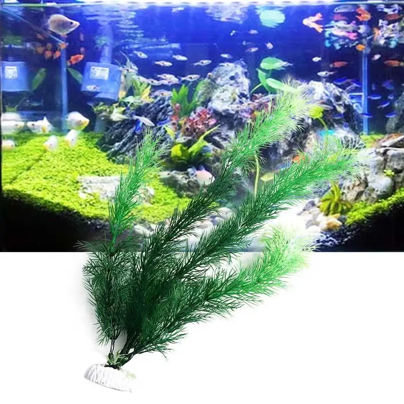 نباتات ديكور حوض السمك الاصطنا - مراجعة Aquarium Plants Live وسعره