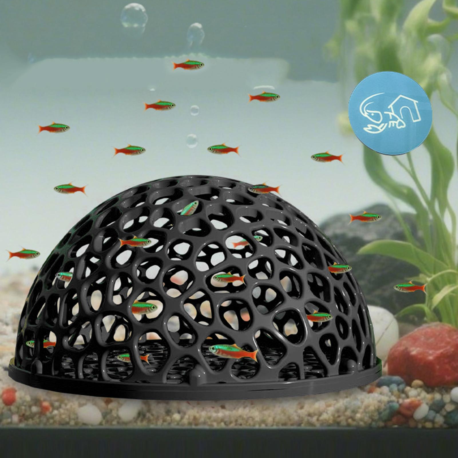 مأوى كهف مخفي لحوض السمك لتربي - مراجعة Aquarium Plants Live وسعره