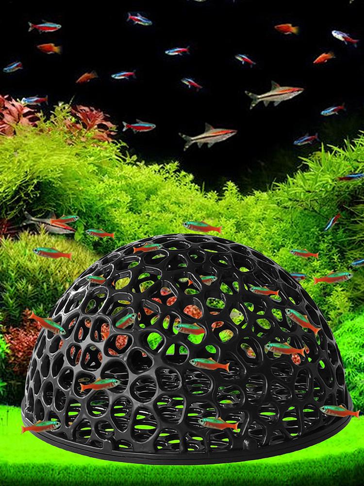 مأوى كهف مخفي لحوض السمك لتربي - مراجعة Aquarium Plants Live وسعره
