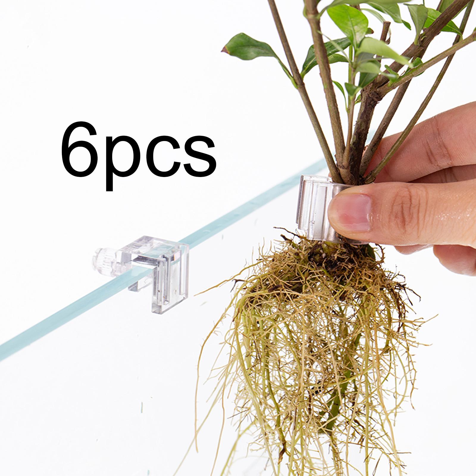 6 قطع من حوامل النباتات لحوض ا - مراجعة Aquarium Fertilizer وسعره