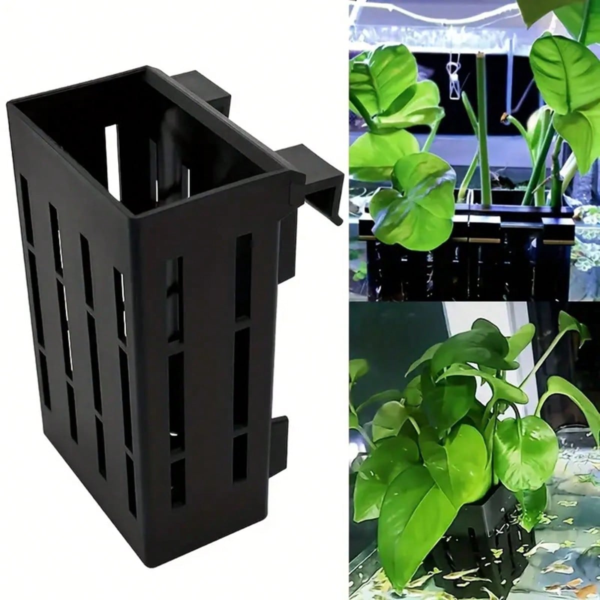 حامل نباتات حوض السمك سلة بلاس - مراجعة Aquarium Plant Holder وسعره