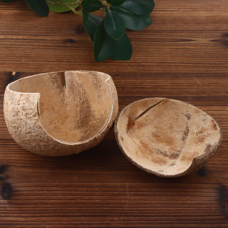 ديكور كوكونت هت متعدد الاستخدا - مراجعة Aquarium Driftwood وسعره