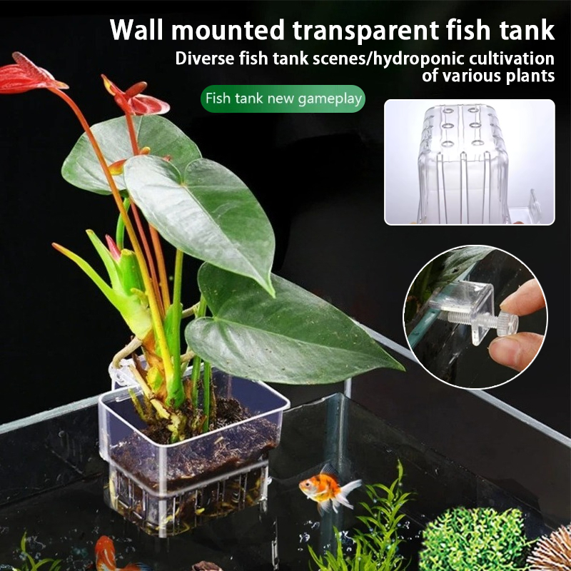 أكواب زرع معلقة للأحواض المائي - مراجعة Aquarium Plants Live وسعره