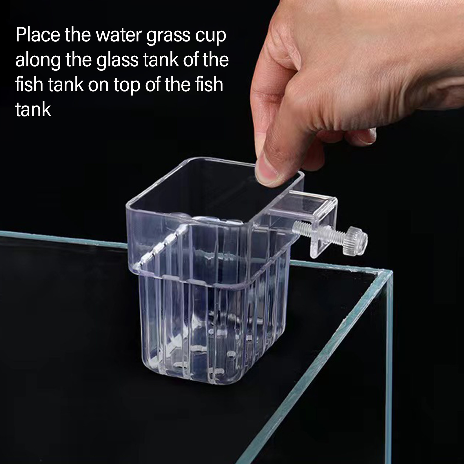 حامل نباتات أكريليك شفاف، سلة  - مراجعة Aquarium Plant Holder وسعره