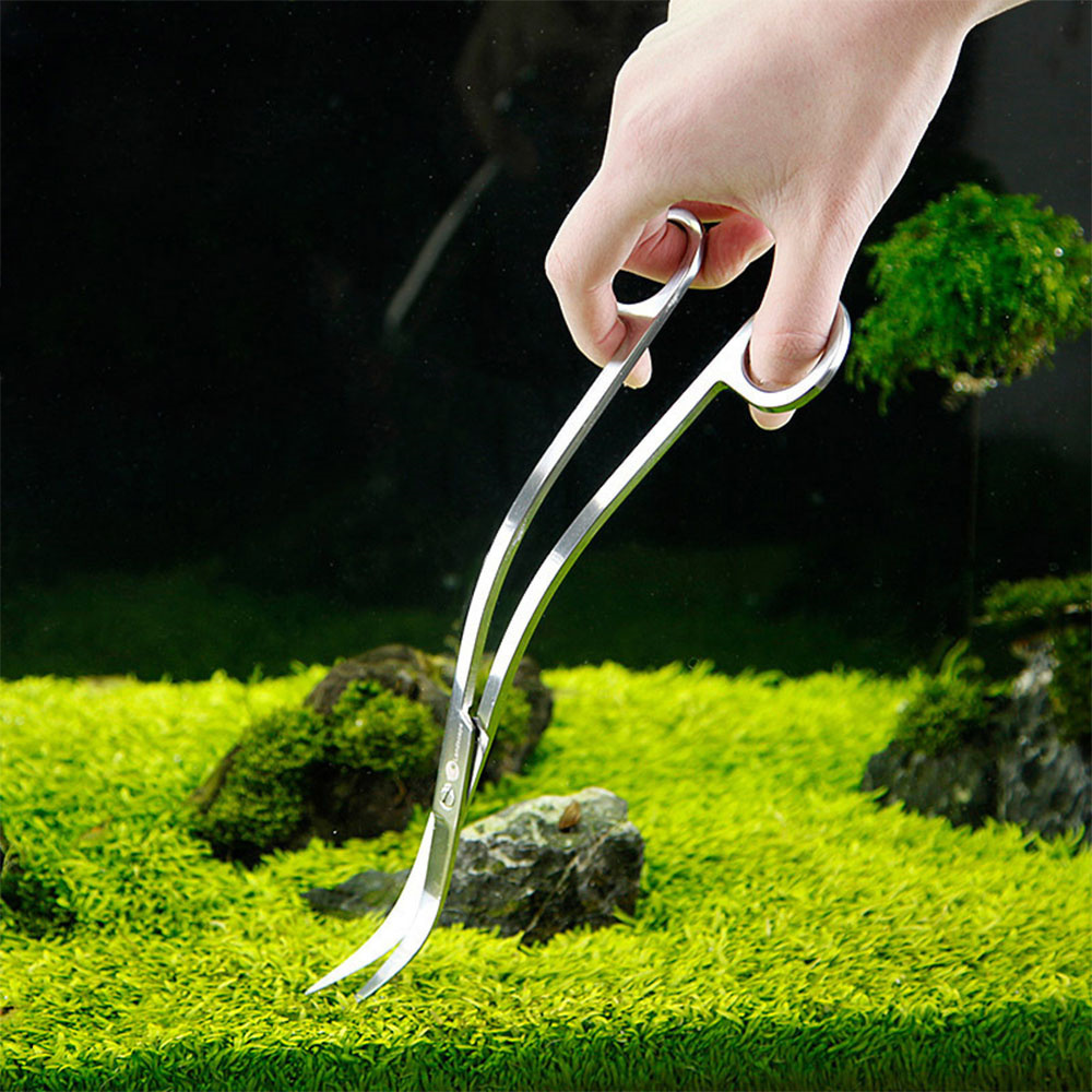 اكسسوارات حوض السمك الصلب الفو - مراجعة Planted Aquarium Cleaning وسعره