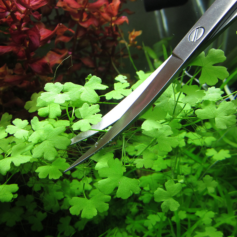 اكسسوارات حوض السمك الصلب الفو - مراجعة Planted Aquarium Cleaning وسعره