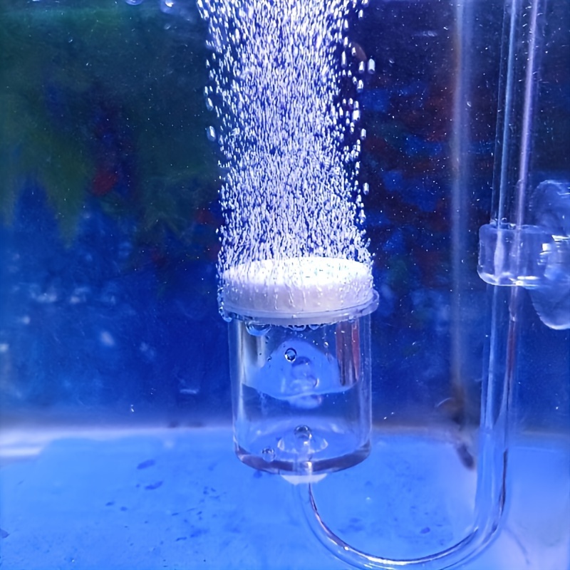 حوض السمك الزجاج CO2 البخاخة ا - مراجعة Aquarium Liquid Carbon وسعره