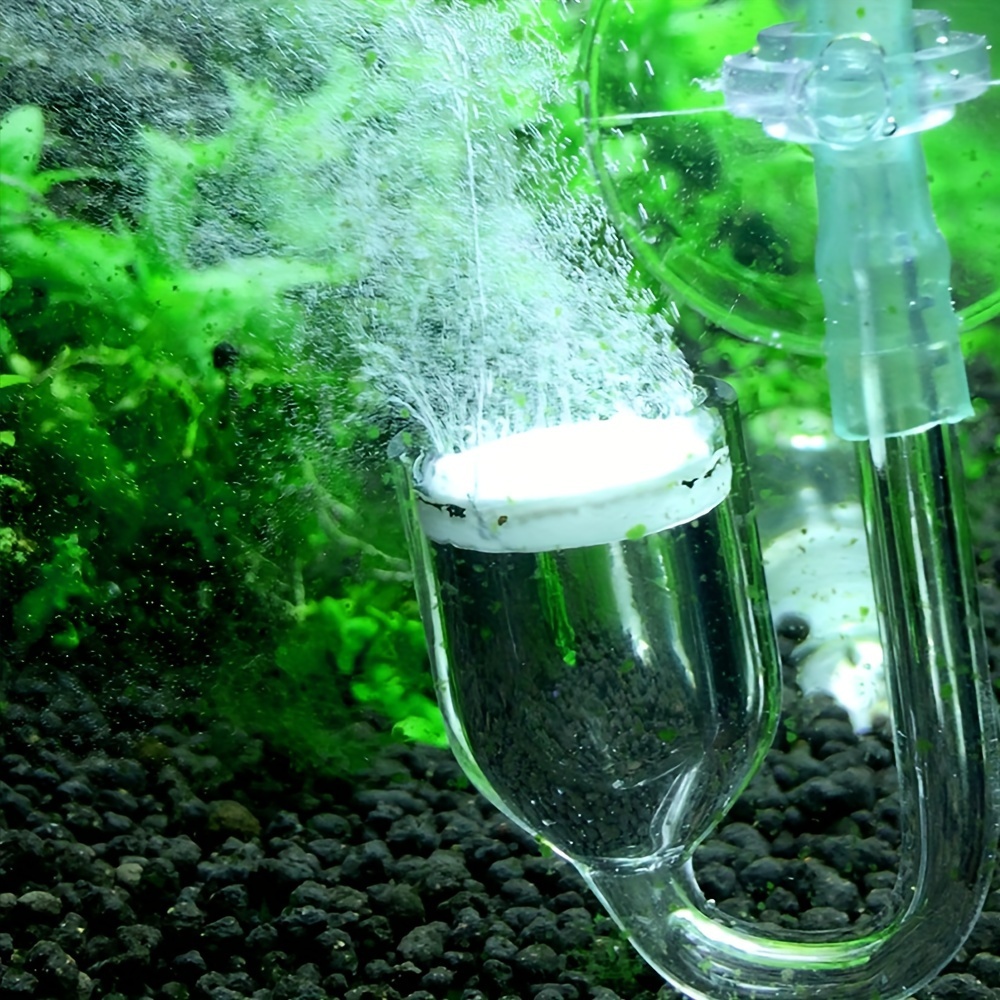 حوض السمك الزجاج CO2 البخاخة ا - مراجعة Aquarium Liquid Carbon وسعره