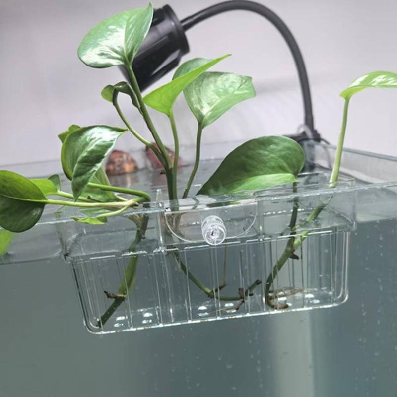 سلة زراعة مائية من الدرجة الغذ - مراجعة Planted Tank وسعره