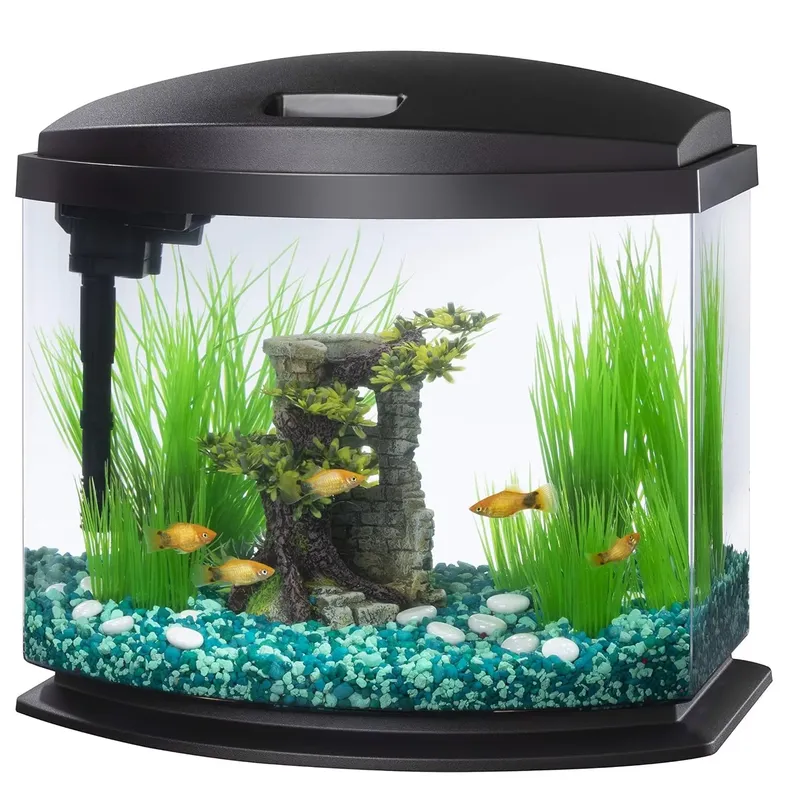 حوض أسماك زجاجي أكريليك مخصص ل - مراجعة Aquarium Planted Tank Filter وسعره