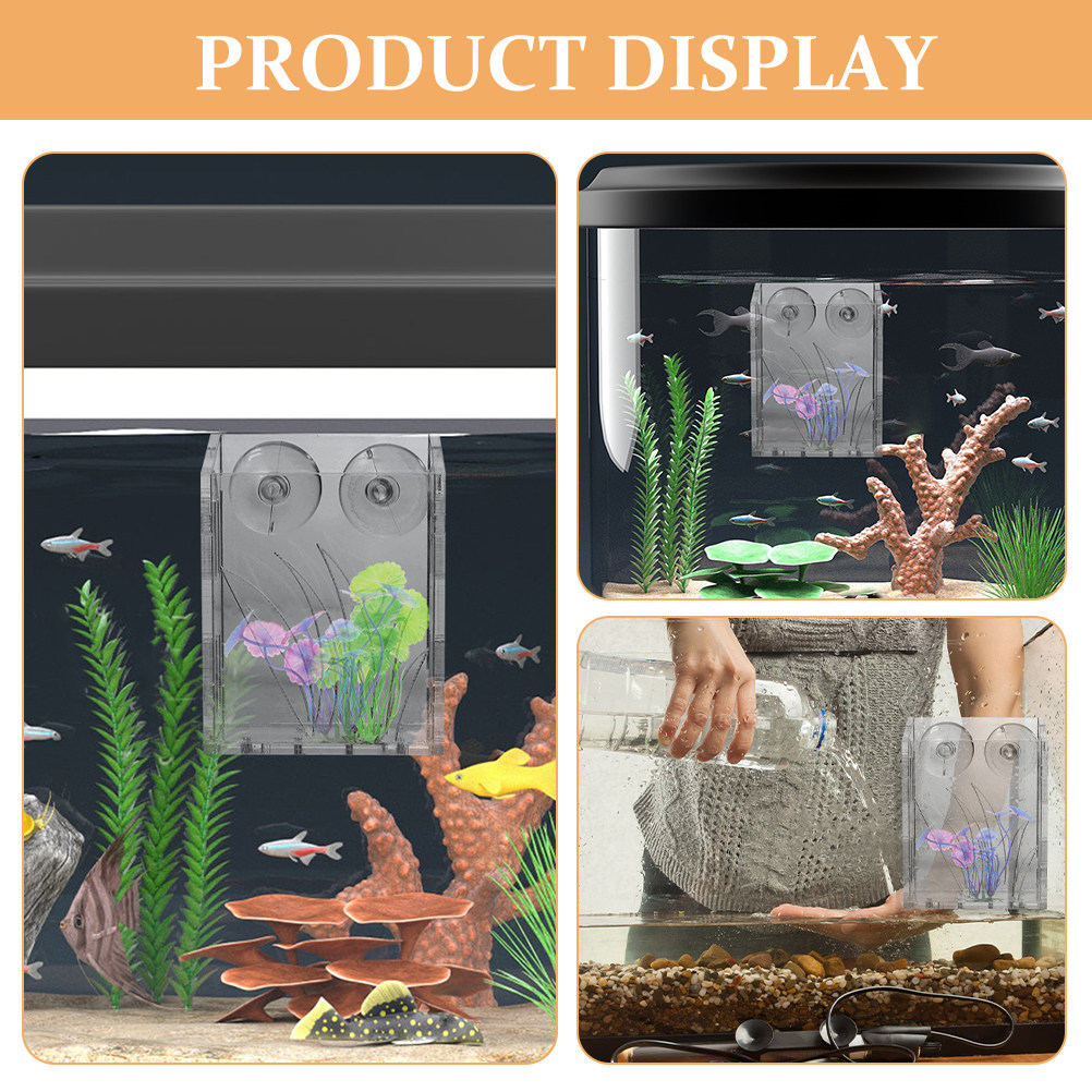 3 قطع من حاملات نباتات الأحواض - مراجعة Plant Aquarium Pot وسعره