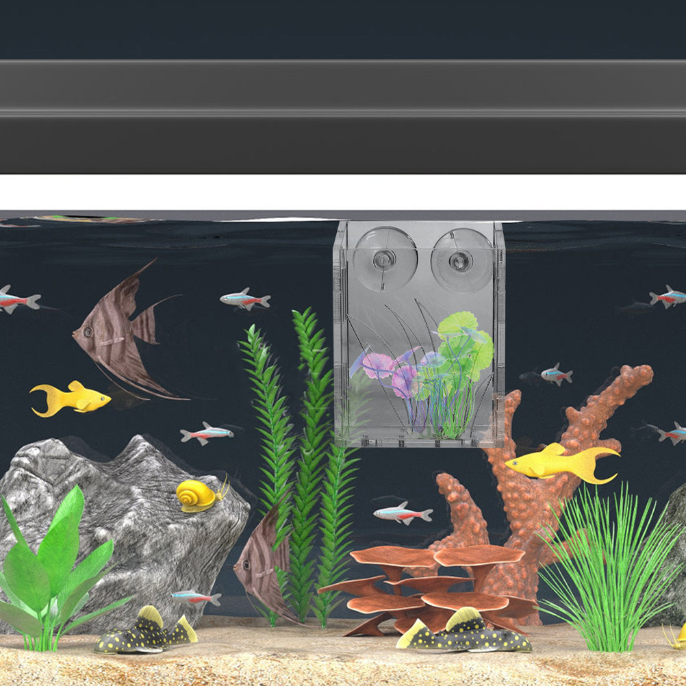 3 قطع من حاملات نباتات الأحواض - مراجعة Plant Aquarium Pot وسعره