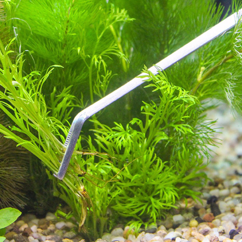 مجموعة أدوات صيانة أحواض السمك - مراجعة Aquarium Plants Live وسعره