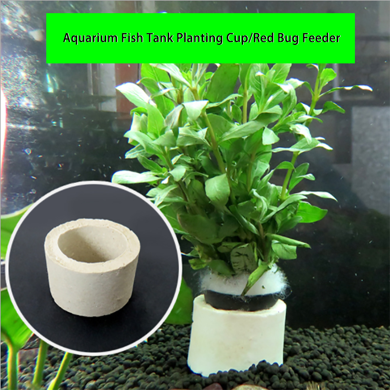 حلقة سيراميك لتزيين الحوض ، وع - مراجعة Plant Aquarium Pot وسعره