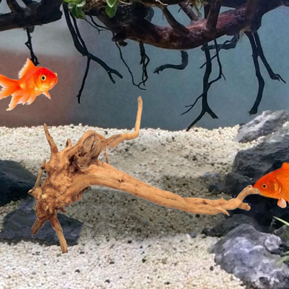 خشب عائم طبيعي كبير لحوض السمك - مراجعة Aquarium Driftwood وسعره