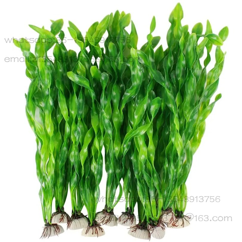 5/10 قطع من نباتات الأحواض الب - مراجعة Planted Tank وسعره
