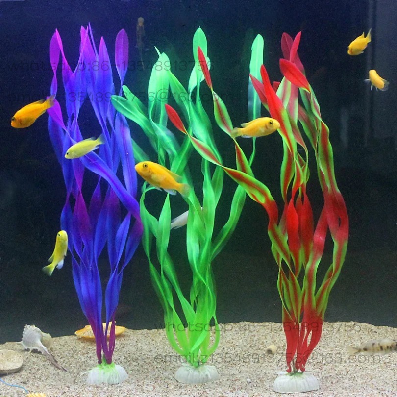 5/10 قطع من نباتات الأحواض الب - مراجعة Planted Tank وسعره