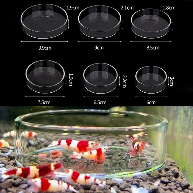 طبق تغذية الروبيان طبق تغذية ز - مراجعة Aquarium Fertilizer وسعره