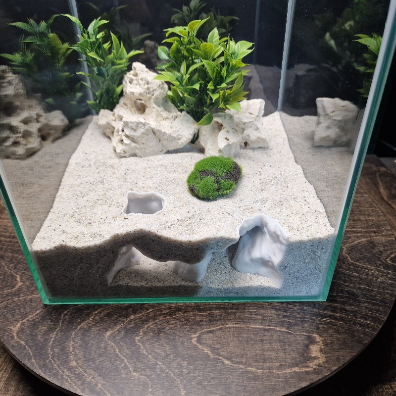 غابة حوض السمك ثلاثية الأبعاد  - مراجعة Aquarium Driftwood وسعره