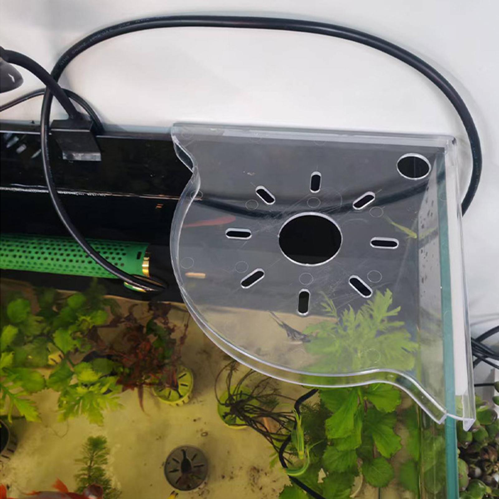 رف تخزين زاوية لحوض السمك على  - مراجعة Aquarium Plants Live وسعره