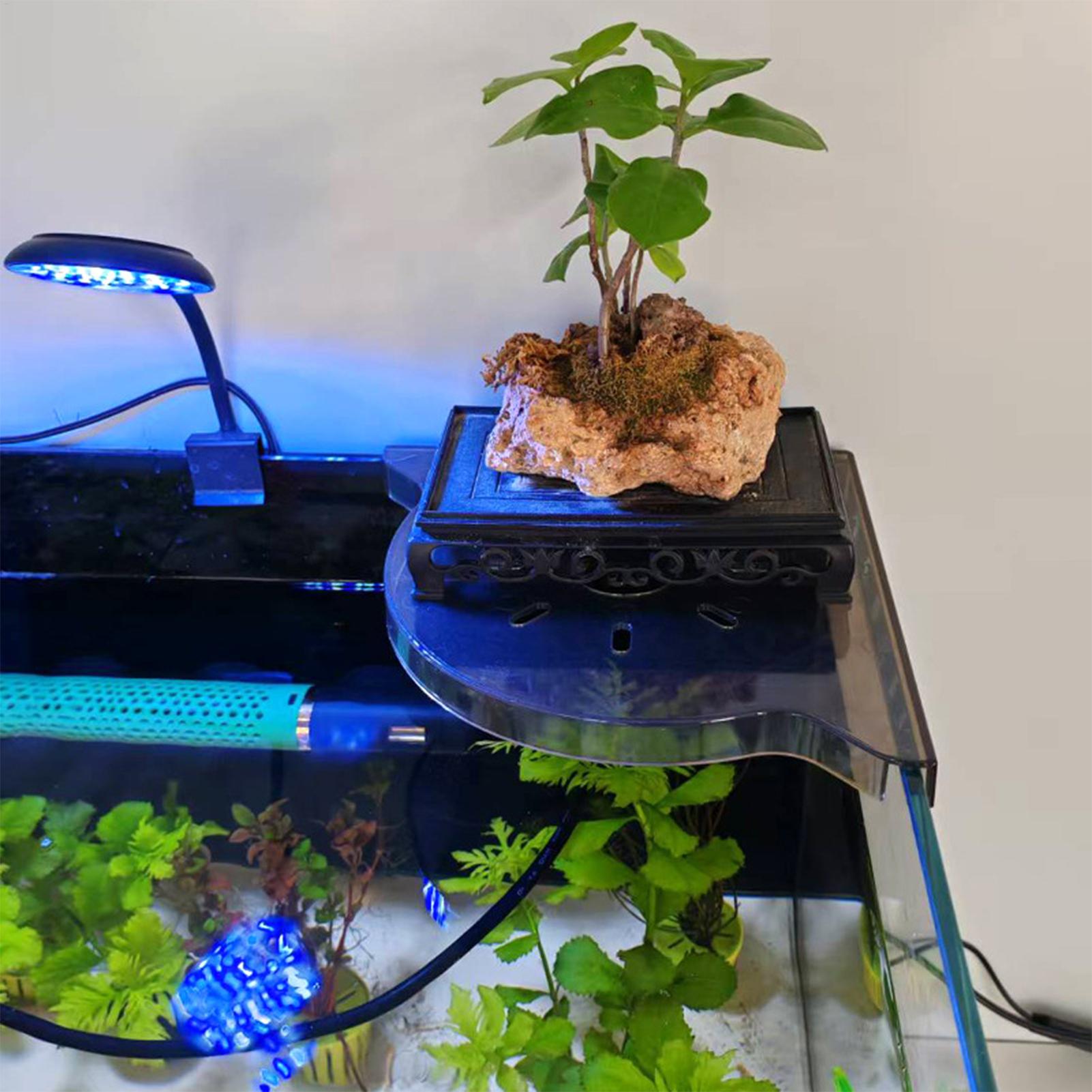 رف تخزين زاوية لحوض السمك على  - مراجعة Aquarium Plants Live وسعره