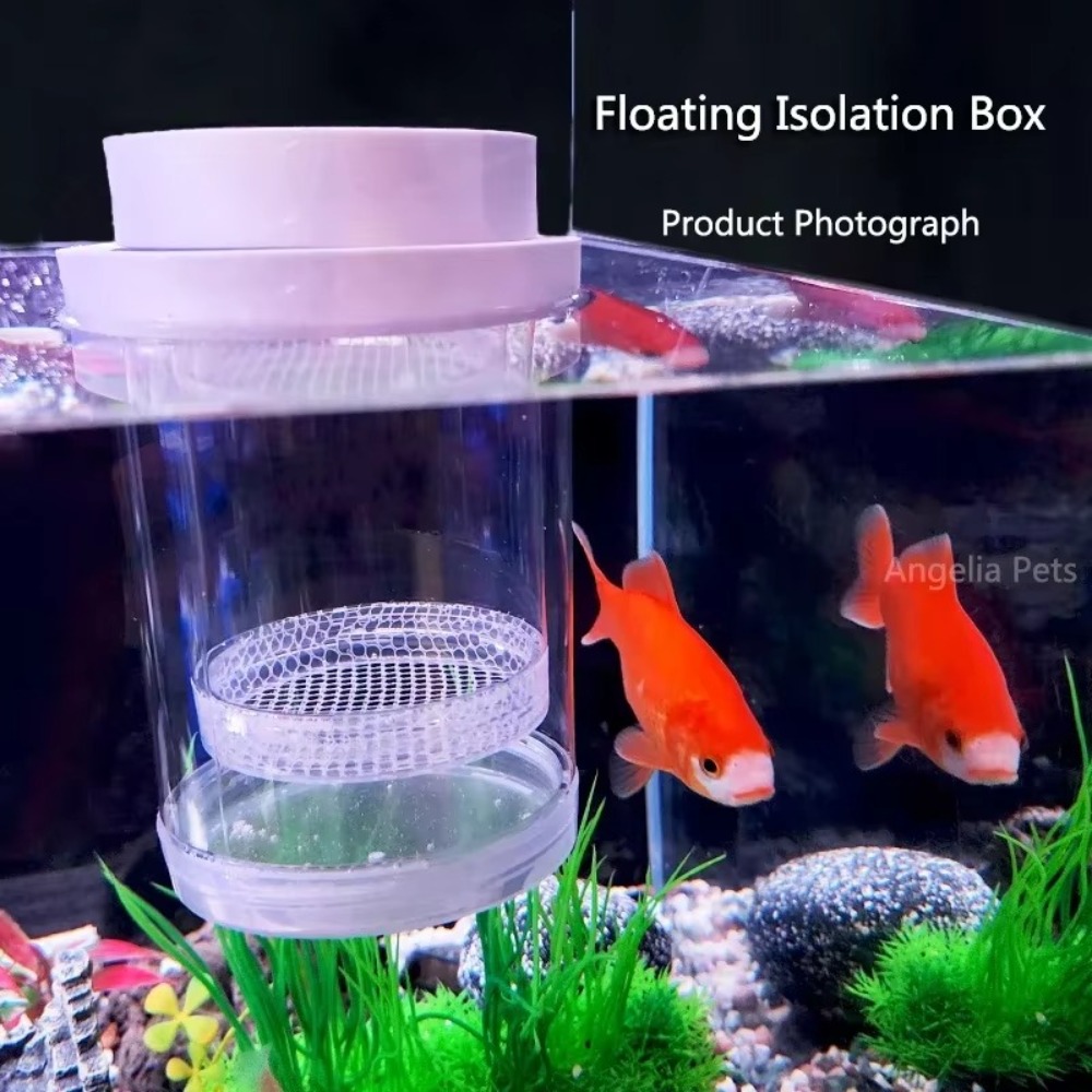 البلاستيك العائمة تربية الأسما - مراجعة Aquarium Fertilizer وسعره