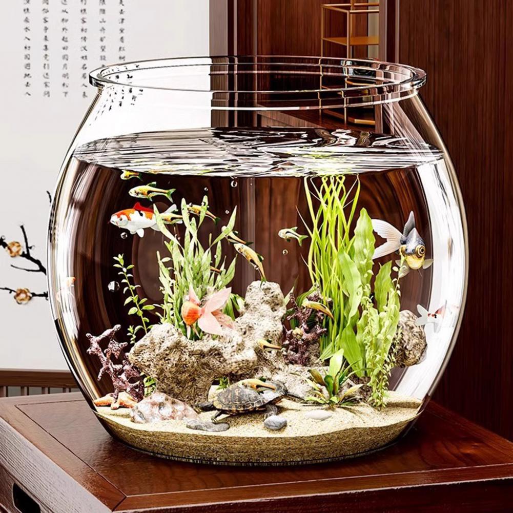 وعاء سمك مستدير من البلاستيك ا - مراجعة Plant Aquarium Pot وسعره