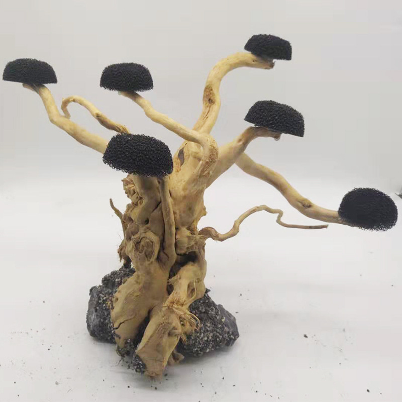 حوض السمك Driftwood المناظر ال - مراجعة Aquarium Driftwood وسعره