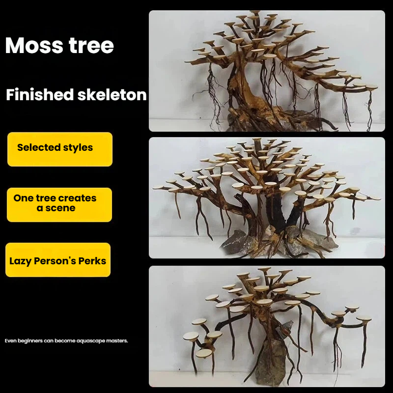 زينة حوض السمك: شجرة طحلب، هيك - مراجعة Aquarium Moss وسعره