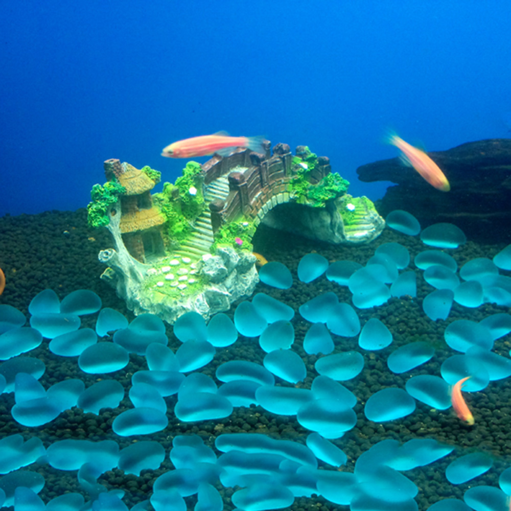 اكسسوارات حوض السمك نبات شجرة  - مراجعة Aquarium Driftwood وسعره