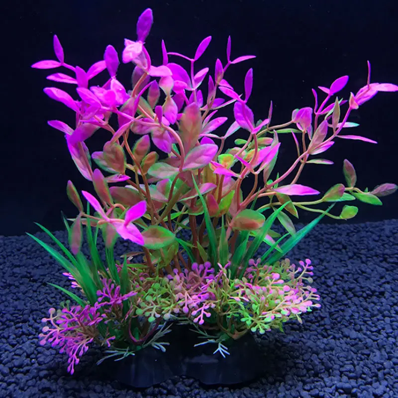 حوض السمك نباتات الديكور الاصط - مراجعة Live Plant Aquarium وسعره