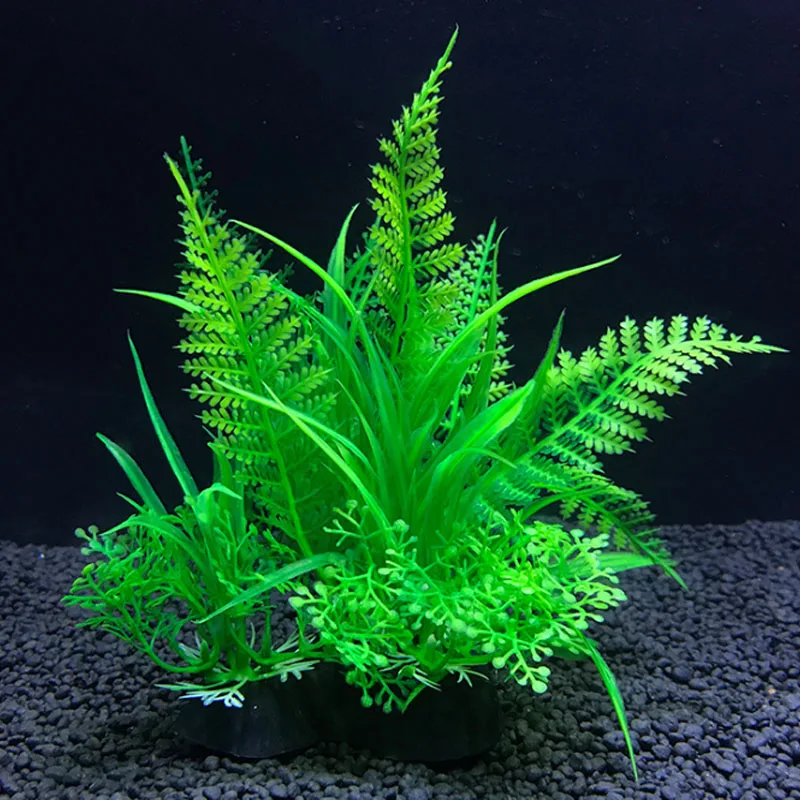 حوض السمك نباتات الديكور الاصط - مراجعة Live Plant Aquarium وسعره