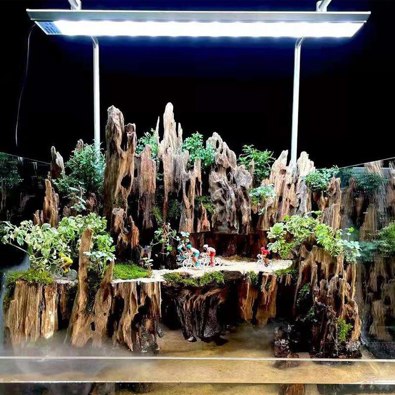 △   ديكور خشبي على شكل جمبري ل - مراجعة Aquarium Driftwood وسعره