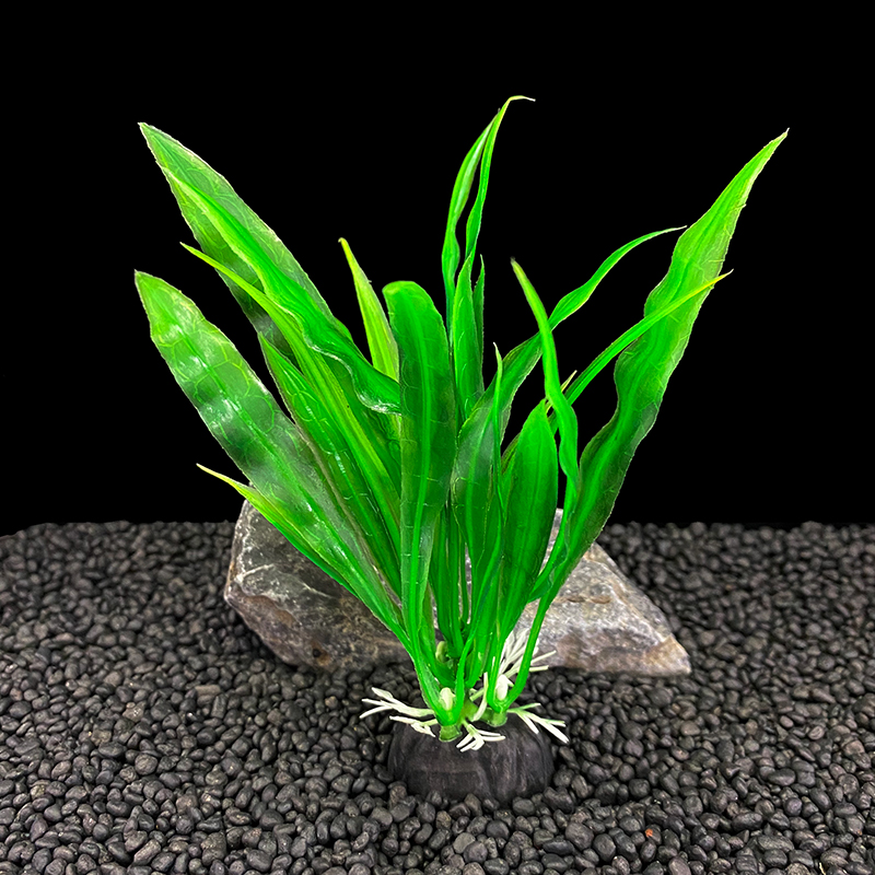 6 قطع من نباتات حوض السمك، ديك - مراجعة Aquarium Plants Live وسعره